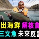 [字幕版] 新疆出海鮮 解除核食威脅 沙漠出產三文魚 未來反銷日本 / 格仔 大眼