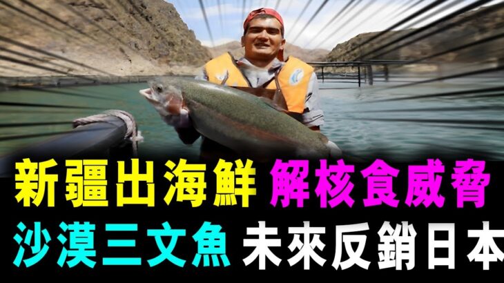 [字幕版] 新疆出海鮮 解除核食威脅 沙漠出產三文魚 未來反銷日本 / 格仔 大眼