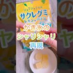 【シャリシャリ食感】サクレグミレモン＆パイン【夏に食べたいアイス】