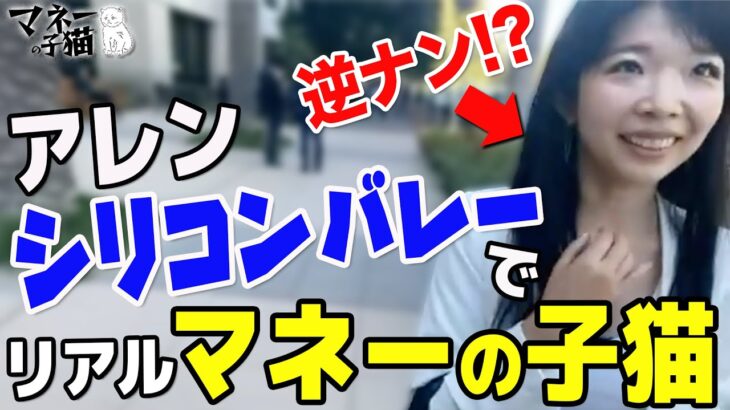 【シリコンバレー】起業家女性が生相談！？その場でビジネスアドバイス開始！？ 【リアルマネーの子猫】