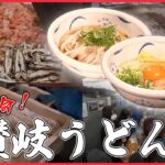 【うどん特集】赤いかかしのうどんチェーン/学食ごえのコスパ！ネギのかき揚げうどん/進化系カレーうどん　など