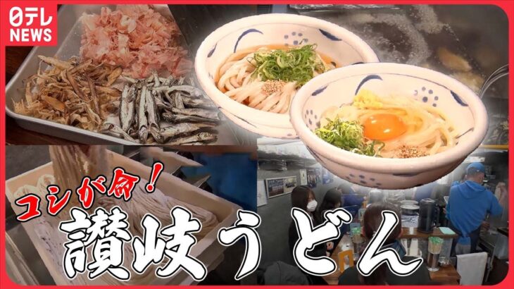 【うどん特集】赤いかかしのうどんチェーン/学食ごえのコスパ！ネギのかき揚げうどん/進化系カレーうどん　など