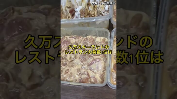 久万スキーランドのゲレ食の食数1位は「からあげ丼」　#久万スキーランド #久万高原町　#愛媛県　#スキー場　#ゲレ食 #唐揚げ　#からあげ丼