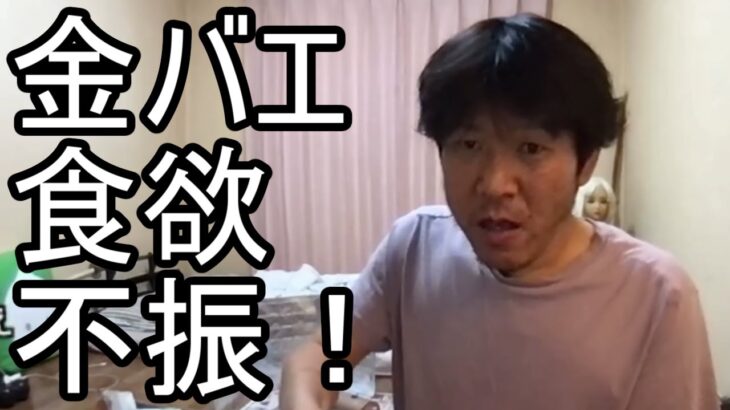 【金バエ】悲報 ついに食事が完食できなくなりました…【肝不全 余命1年】 2023/10/17