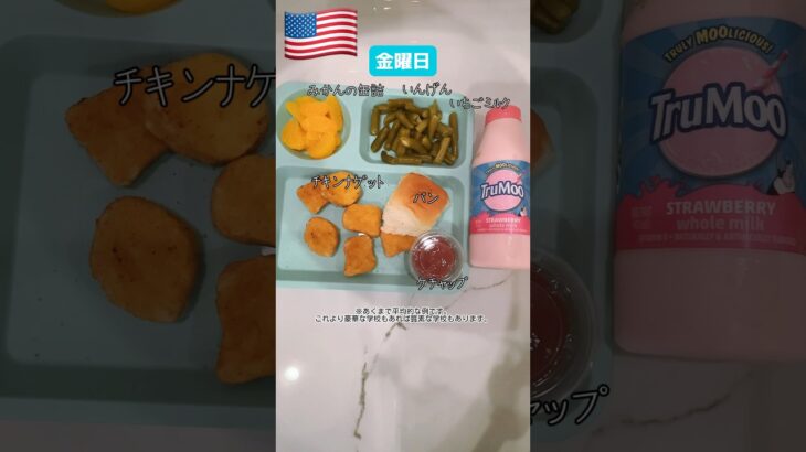 【🇺🇸衝撃】これがアメリカの超典型的な学食メニュー🍕〜小学校編パート1〜🏫パート2もお楽しみに✌🏻 #アメリカ生活 #アメリカあるある