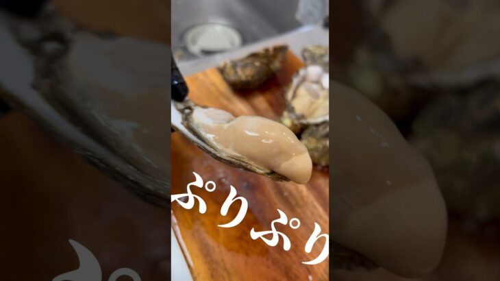 一個1600円の牡蠣を食べてみた #oyster #起業 #牡蠣