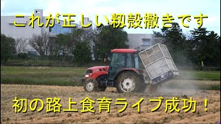 白銀幼稚園の稲刈りと金沢市のど真ん中で路上食育ライブ・お隣りさんの籾殻撒きを見学・2023