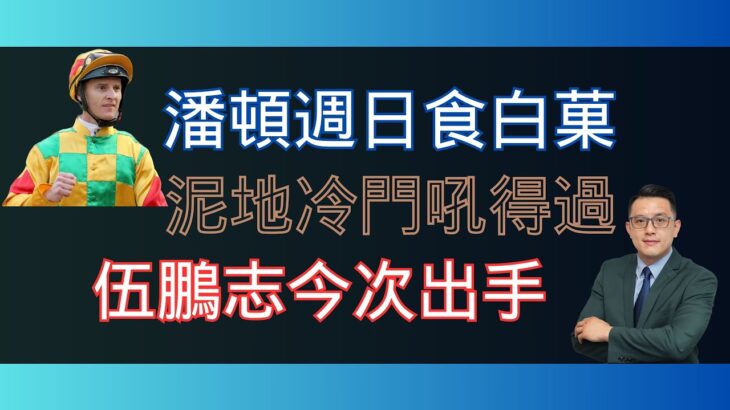 25-10-2023  潘頓週日食白菓   泥地冷門吼得過   伍鵬志今次出手