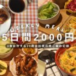 【節約料理】3食自炊する26歳会社員の平日の夜ごはん🌙 | ひとり暮らし | 自炊の記録🎃