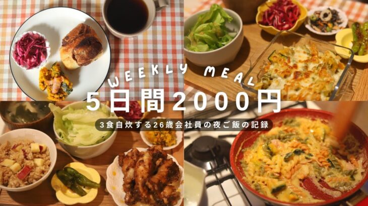 【節約料理】3食自炊する26歳会社員の平日の夜ごはん🌙 | ひとり暮らし | 自炊の記録🎃