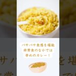 【本格的】 イザメシ ドライカレー｜賞味期限5年 #非常食 #防災 #防災グッズ