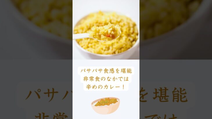 【本格的】 イザメシ ドライカレー｜賞味期限5年 #非常食 #防災 #防災グッズ