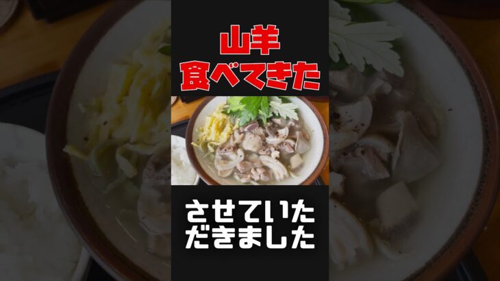 ヤギの沖縄そば！沖縄県民食の山羊！夏の台風6号でやぎ小屋が土砂崩れにあってしまったお店で食べてきた！ #shorts #144