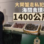 大閘蟹走私犯活躍 海關食環聯合打擊 9月至今檢1400公斤貨︳星島頭條︳大閘蟹︳走私︳海關︳食環