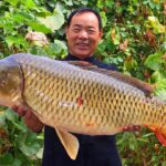 GIANT Carp Fish with the Most Special Recipe! Braised Together with Pork Belly | Uncle Rural Gourmet