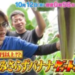 食宝きみさらずバナナ！上田くんご対面&実食!!『KAT-TUNの食宝ゲッットゥーン』10/12(木)【TBS】