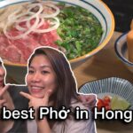 🇭🇰 跟著越南人食香港最好味Phở / sự khác biệt giữa Phở Lệ Hồng Kông và Phở Lể Việt Nam?（中文字幕）