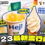 #TalkFood【#18區搵食】2023最新流行素食 流量密碼 | 燒賣關注組大讚 IKEA超軟糯植物素燒賣 | 估佢唔到 滑捋捋豆腐花新地都係素？| 素食關東煮 | 椰子控NO.1香甜椰子布甸 |