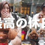 起業家夫婦、愛犬と過ごす休日VLOG