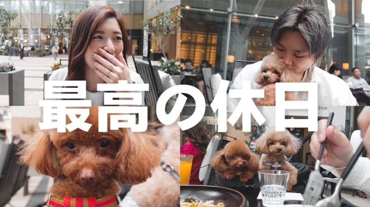 起業家夫婦、愛犬と過ごす休日VLOG