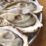 何個でも食べれてしまう激うまな牡蠣！！ #牡蠣 #起業 #oyster