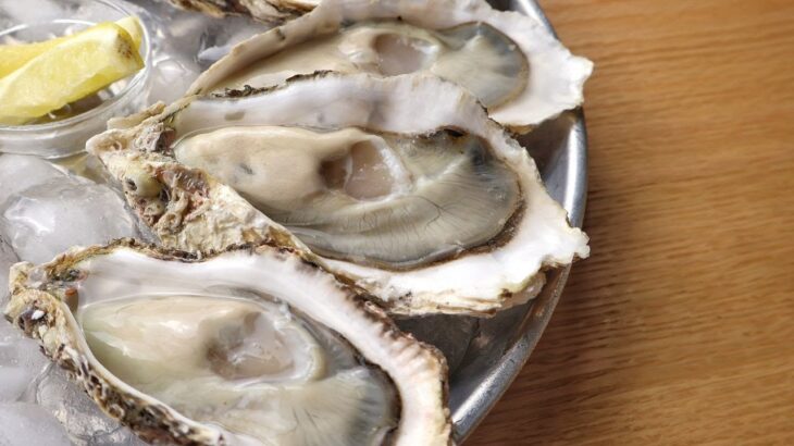 何個でも食べれてしまう激うまな牡蠣！！ #牡蠣 #起業 #oyster