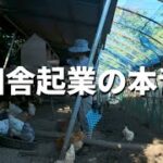 【３０代夫婦田舎暮らし】起業２年目 移住養鶏家の本音