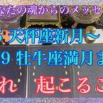 天秤座新月 金環日食〜牡牛座満月 部分月食🌙特別な新月と満月の間に何が起こるのか【数秘術占い師のカードリーディング】