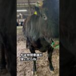 【牛の出荷】食の大切さを伝える