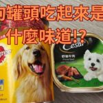 直播吃狗罐頭! 狗食公道伯親身品嘗寶路+西莎  #令狐沖爺爺