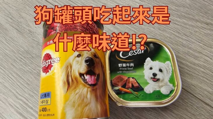 直播吃狗罐頭! 狗食公道伯親身品嘗寶路+西莎  #令狐沖爺爺