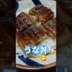 食レポ㊼アイドルヲタク うな丼食べた話🍵