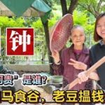 “牛耕田马食谷”什么意思？广东民间谚语金句，句句有哲理