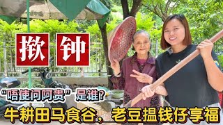 “牛耕田马食谷”什么意思？广东民间谚语金句，句句有哲理