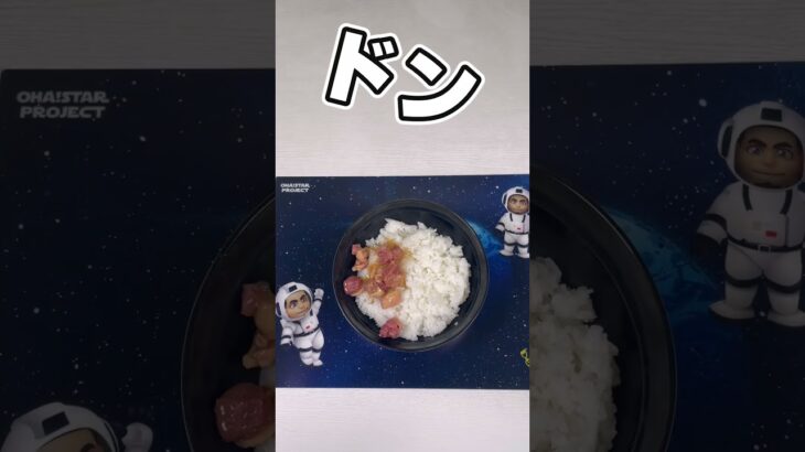 【焼き鳥】木村昴が宇宙食で丼ぶり飯テロww【おはスタ】