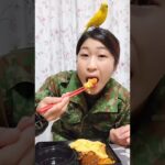 【陸上自衛隊式食レポ】北九州小倉　喫茶 寛乃-yutakano-の洋食弁当　＃Shorts