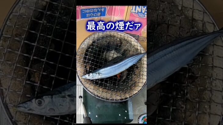 【食】北海道産秋刀魚しちりん焼き