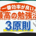 【大人の勉強大全】ビジネスパーソン必見！身になる学び VS 身にならない学び「結果を出す人の3つの勉強法」