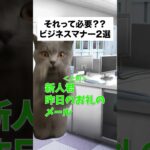 【それ必要？ビジネスマナー2選】#猫ミーム #cat #猫マニ#新社会人 #ビジネスマナー #人間関係