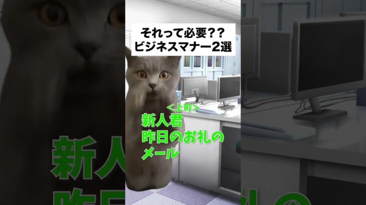 【それ必要？ビジネスマナー2選】#猫ミーム #cat #猫マニ#新社会人 #ビジネスマナー #人間関係