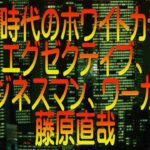 【ゆっくり解説】新しい時代のホワイトカラーのエグゼクティブ、ビジネスマン、ワーカー 藤原直哉