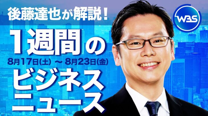 自民総裁選 党は?議員は?【後藤達也が解説！1週間のビジネスニュース】#WBS