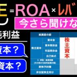 【投資家＆ビジネスマン】自己資本と株主資本と純資産の違い、ROEとROAとの関係性についてもわかりやすく解説【教養】