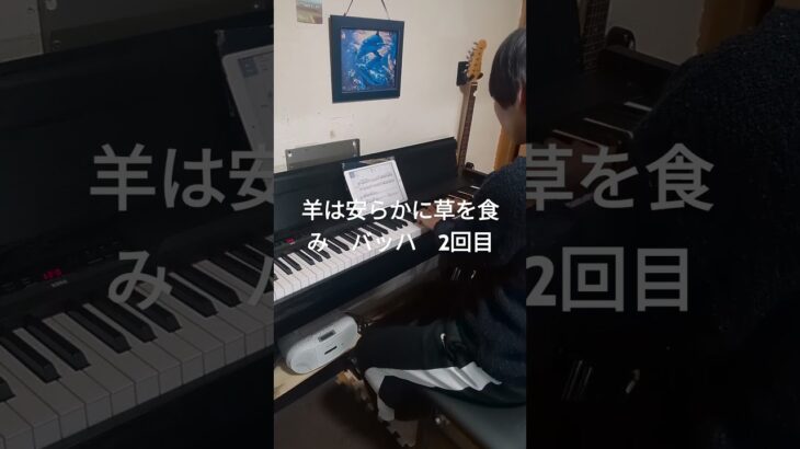 羊は安らかに草を食み　バッハ#初心者ピアノ#piano