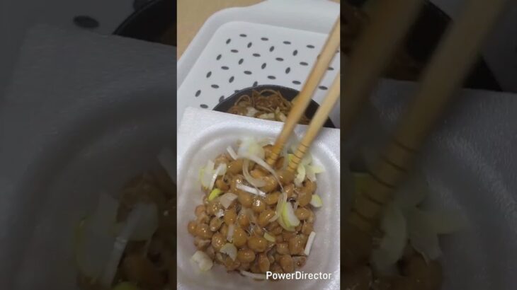 独身40代の食生活5月14日　キャベツ焼きそば　ネギ納豆