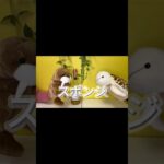 食レポが下手すぎるとこうなる　#LAILUCK #パペット #セイウチ #ウミガメ #食レポ #お菓子 #ワイン