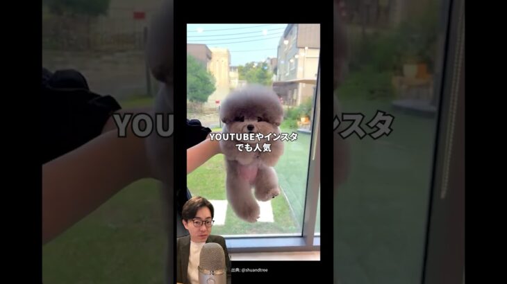 これ副業なるかも #副業 #マーケティング #ビジネス