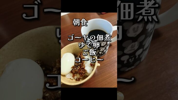 妊娠8ヶ月のリアルな食生活。帰省中は食べ過ぎてしまうのあるあるですよね？#妊娠中 #マタニティライフ #リアルな食生活 #妊婦チートデイ #チートデイ