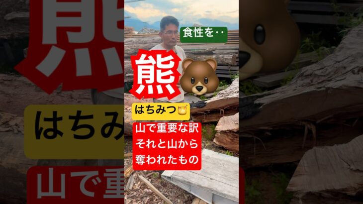 熊の食生について　#熊