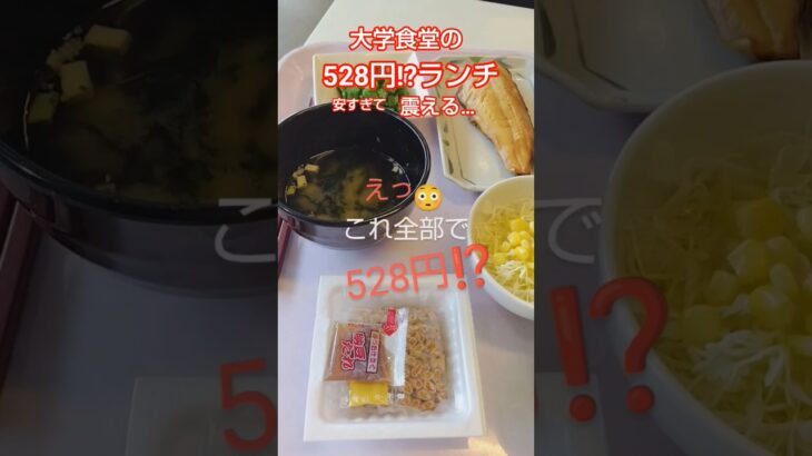 あなたの思い出の学食メニューはなんですか？コメントで教えてください〜よければチャンネル登録もぜひ♡#大学食堂#激安グルメ#主婦ランチ#
